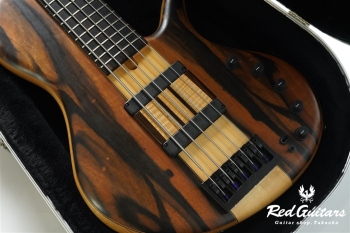 Platinum Series Single-Cut , e-volution 5 - Macassar Ebony